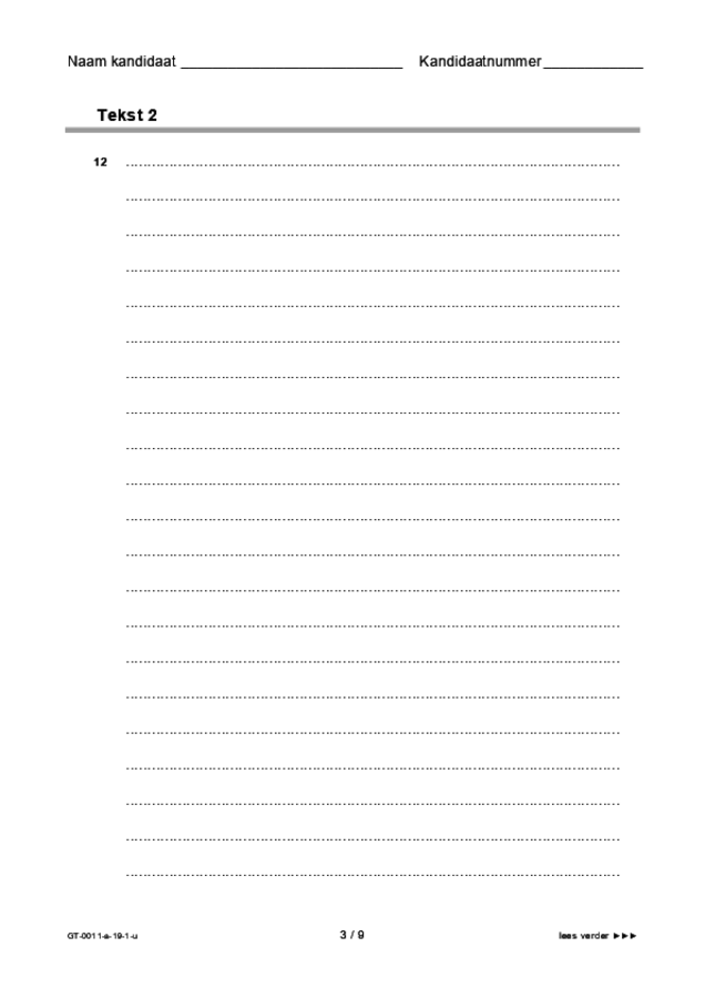 Uitwerkbijlage examen VMBO GLTL Nederlands 2019, tijdvak 1. Pagina 3