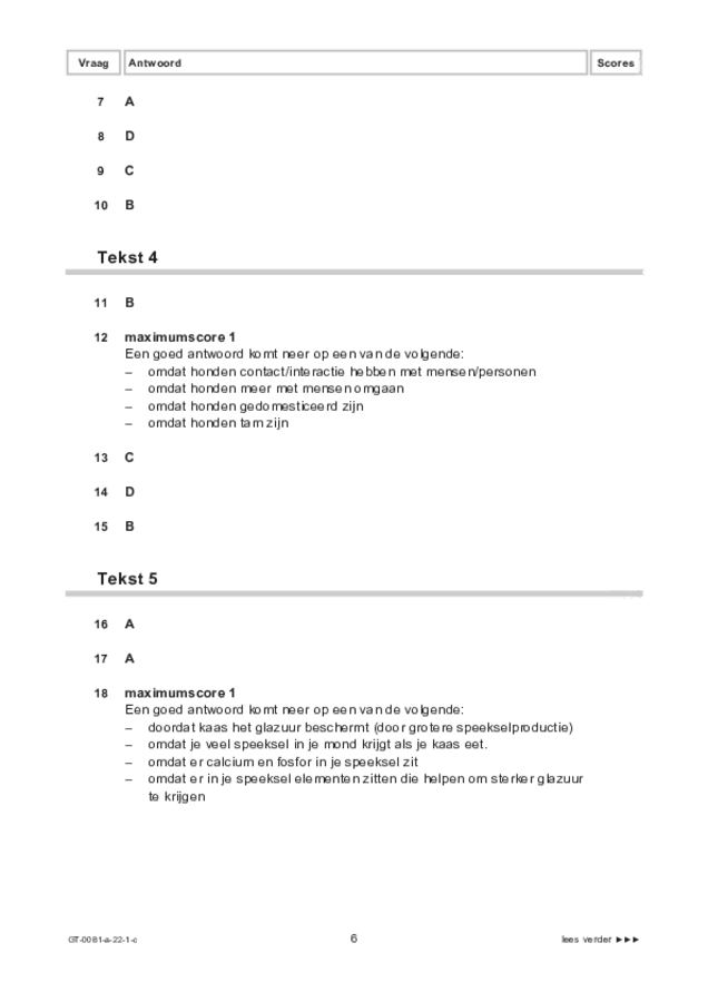 Correctievoorschrift examen VMBO GLTL Spaans 2022, tijdvak 1. Pagina 6