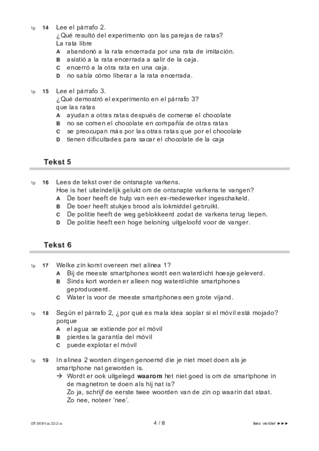 Opgaven examen VMBO GLTL Spaans 2022, tijdvak 2. Pagina 4
