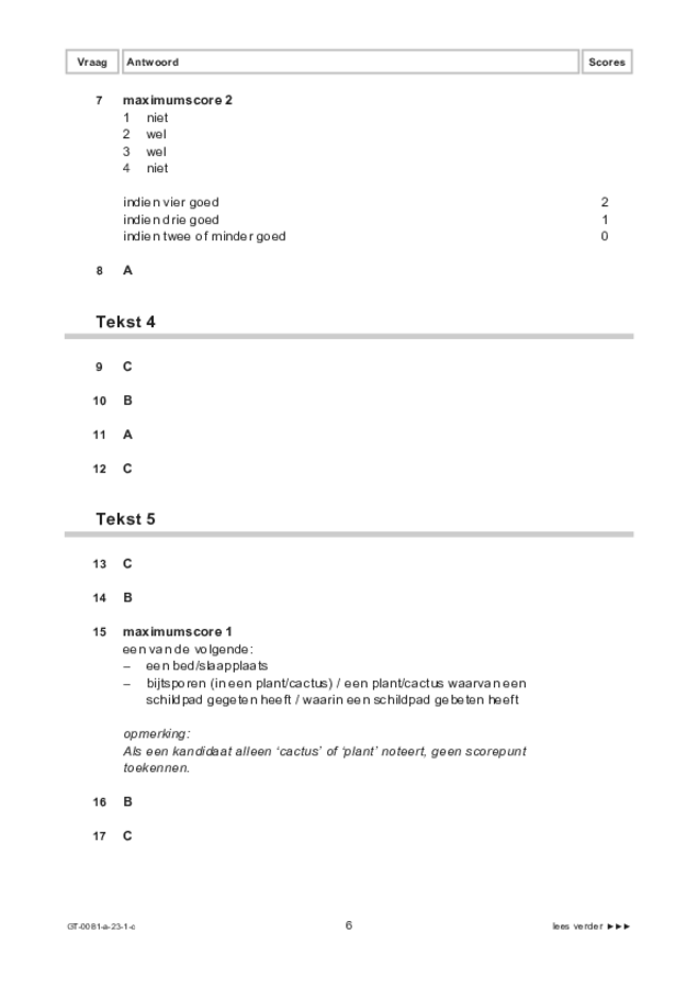 Correctievoorschrift examen VMBO GLTL Spaans 2023, tijdvak 1. Pagina 6