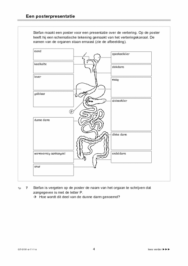 Opgaven examen VMBO GLTL biologie 2011, tijdvak 1. Pagina 4