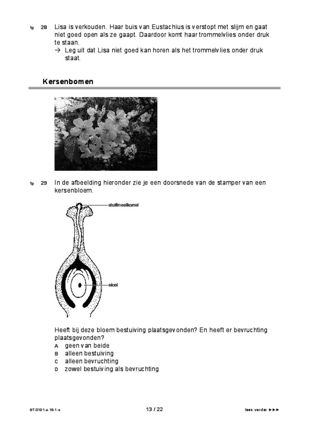 Opgaven examen VMBO GLTL biologie 2018, tijdvak 1. Pagina 13