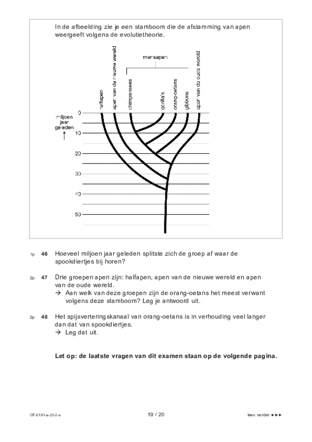 Opgaven examen VMBO GLTL biologie 2022, tijdvak 2. Pagina 19