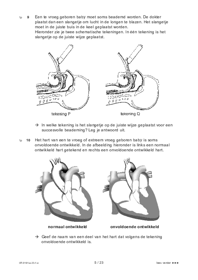 Opgaven examen VMBO GLTL biologie 2023, tijdvak 1. Pagina 5