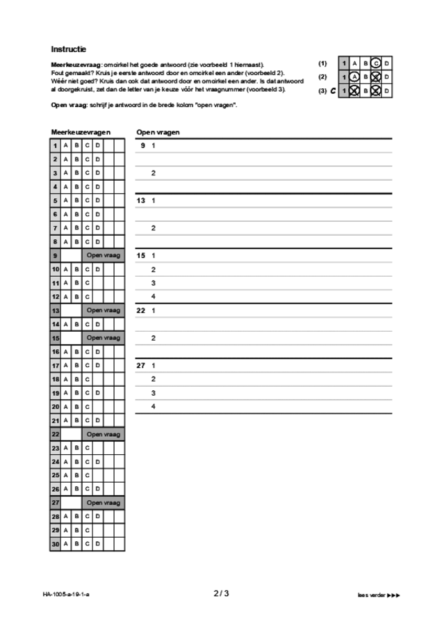 Antwoordblad examen HAVO Spaans 2019, tijdvak 1. Pagina 2