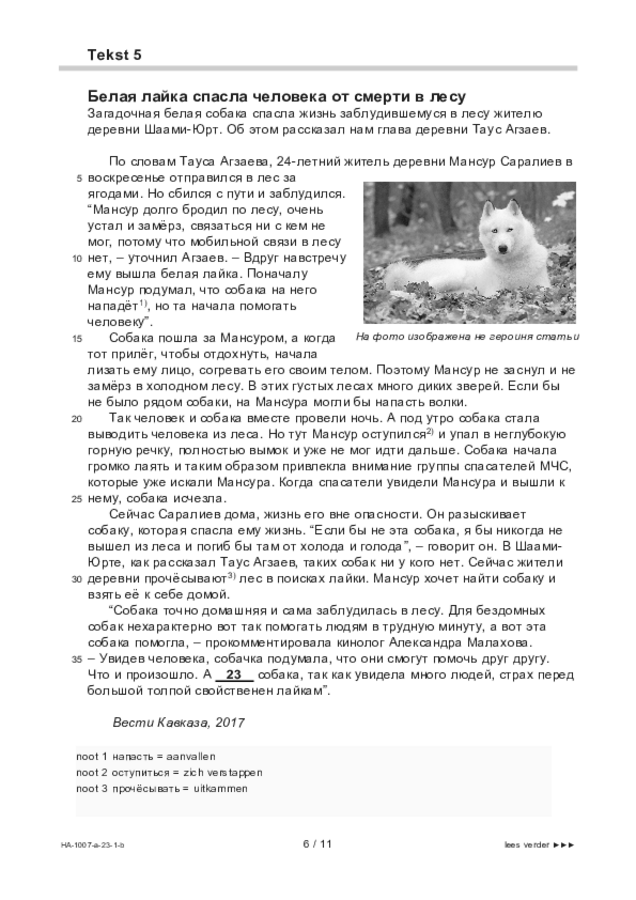 Bijlage examen HAVO Russisch 2023, tijdvak 1. Pagina 6