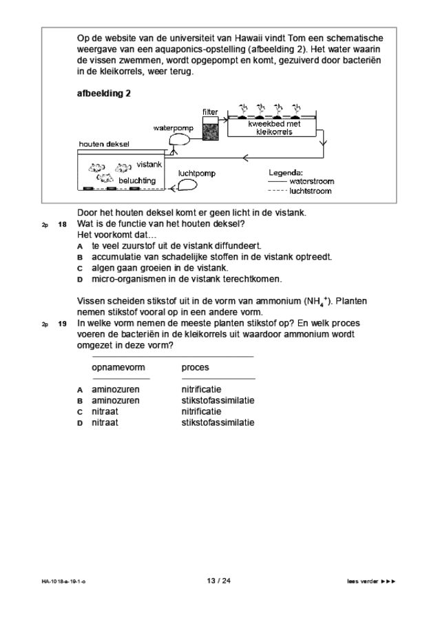 Opgaven examen HAVO biologie 2019, tijdvak 1. Pagina 13