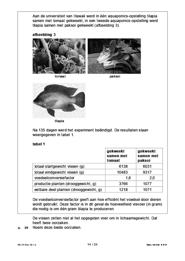 Opgaven examen HAVO biologie 2019, tijdvak 1. Pagina 14