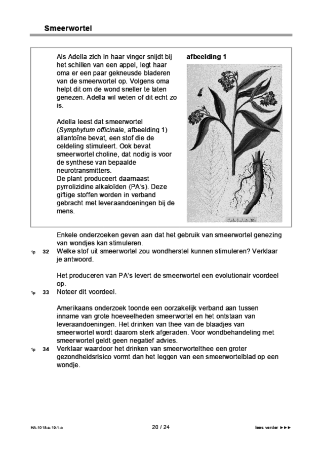 Opgaven examen HAVO biologie 2019, tijdvak 1. Pagina 20