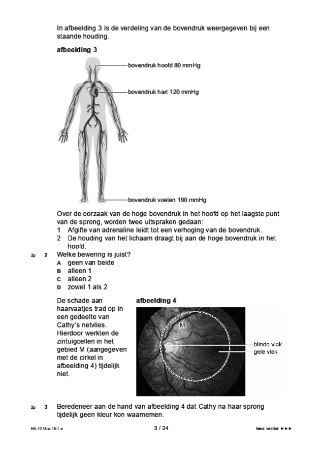 Opgaven examen HAVO biologie 2019, tijdvak 1. Pagina 3