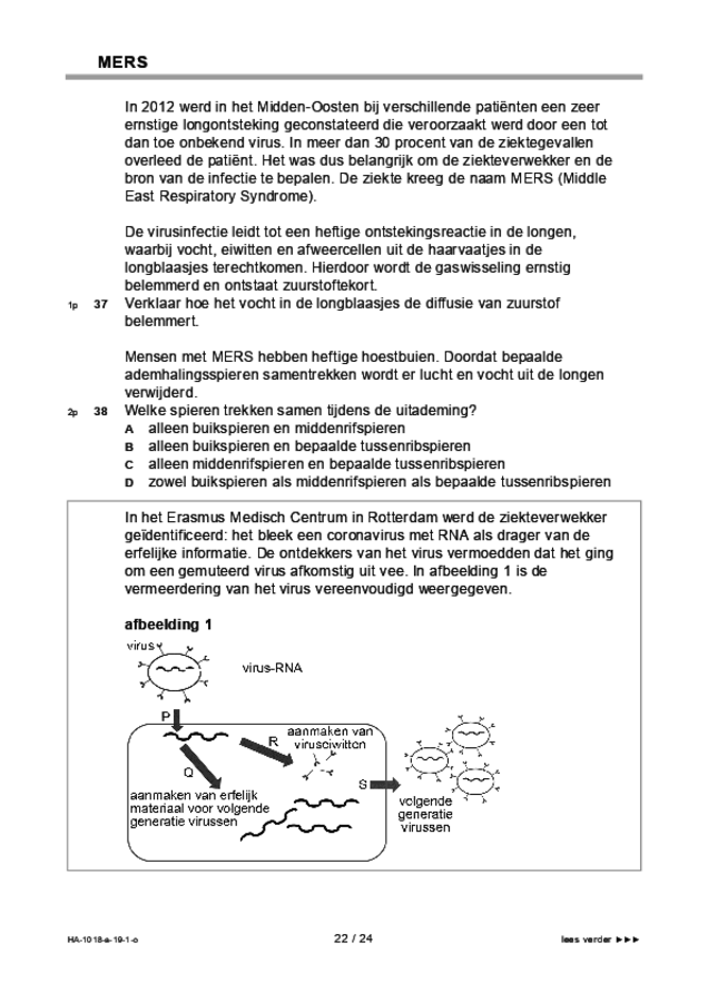 Opgaven examen HAVO biologie 2019, tijdvak 1. Pagina 22