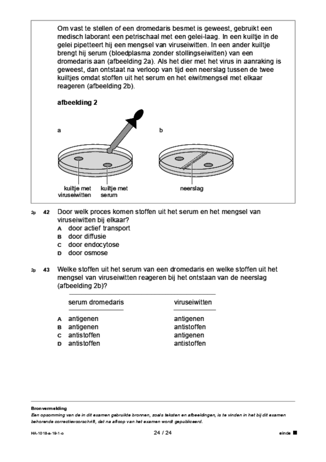 Opgaven examen HAVO biologie 2019, tijdvak 1. Pagina 24