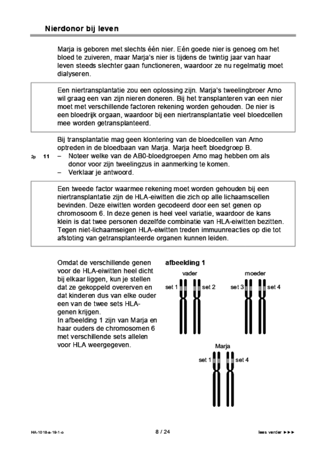 Opgaven examen HAVO biologie 2019, tijdvak 1. Pagina 8