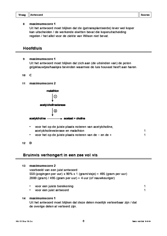 Correctievoorschrift examen HAVO biologie 2019, tijdvak 2. Pagina 6