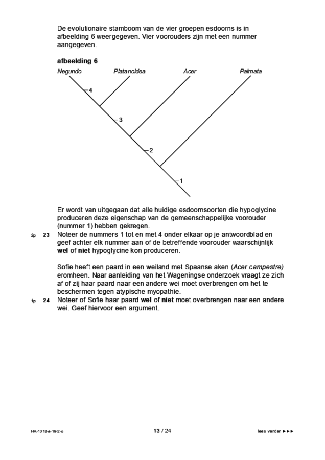 Opgaven examen HAVO biologie 2019, tijdvak 2. Pagina 13