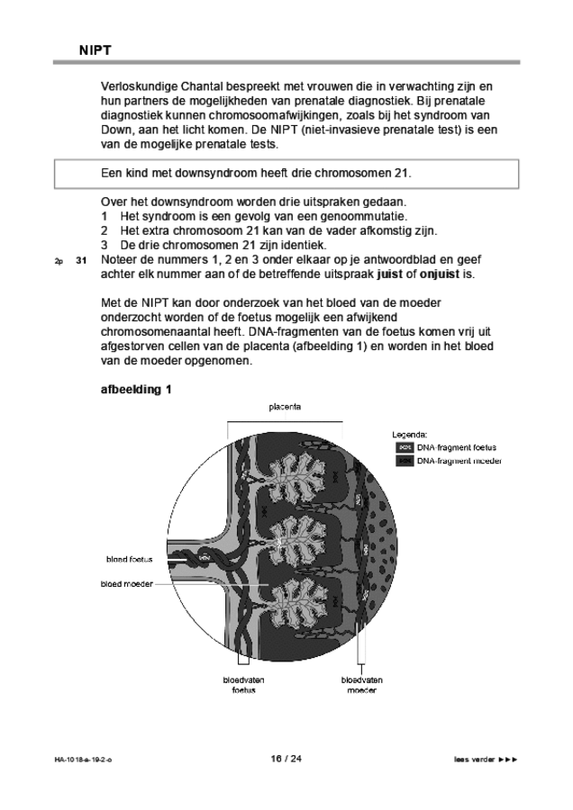 Opgaven examen HAVO biologie 2019, tijdvak 2. Pagina 16