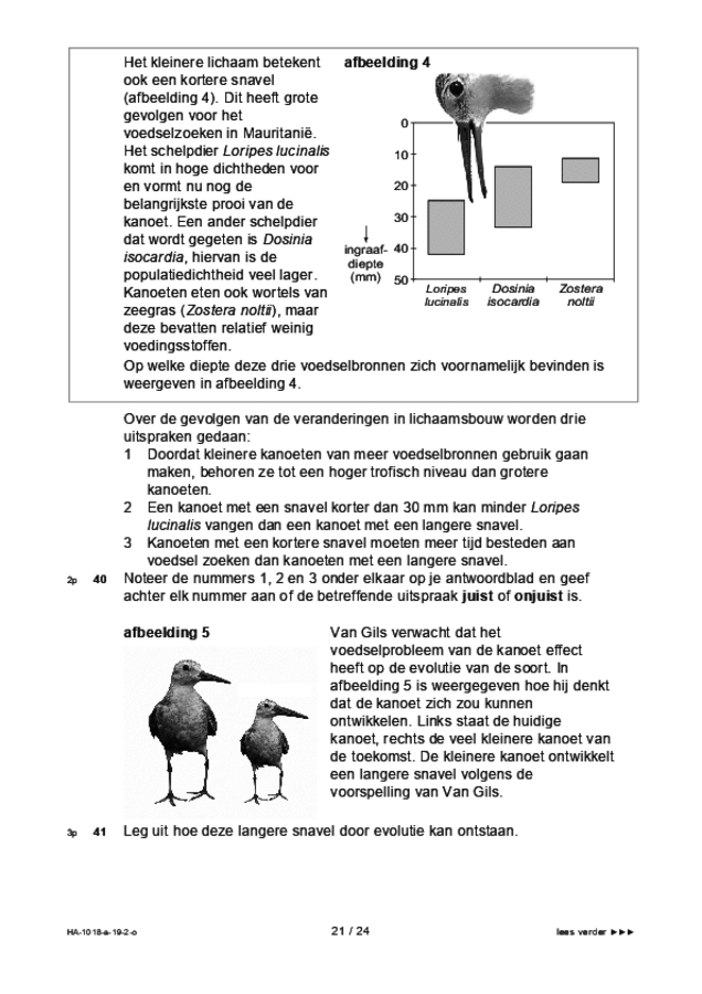 Opgaven examen HAVO biologie 2019, tijdvak 2. Pagina 21