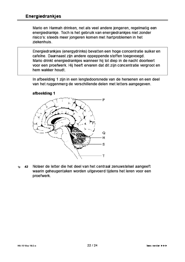Opgaven examen HAVO biologie 2019, tijdvak 2. Pagina 22