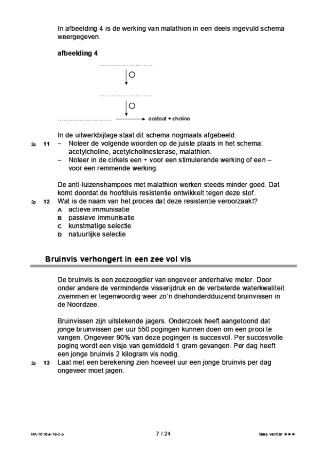 Opgaven examen HAVO biologie 2019, tijdvak 2. Pagina 7