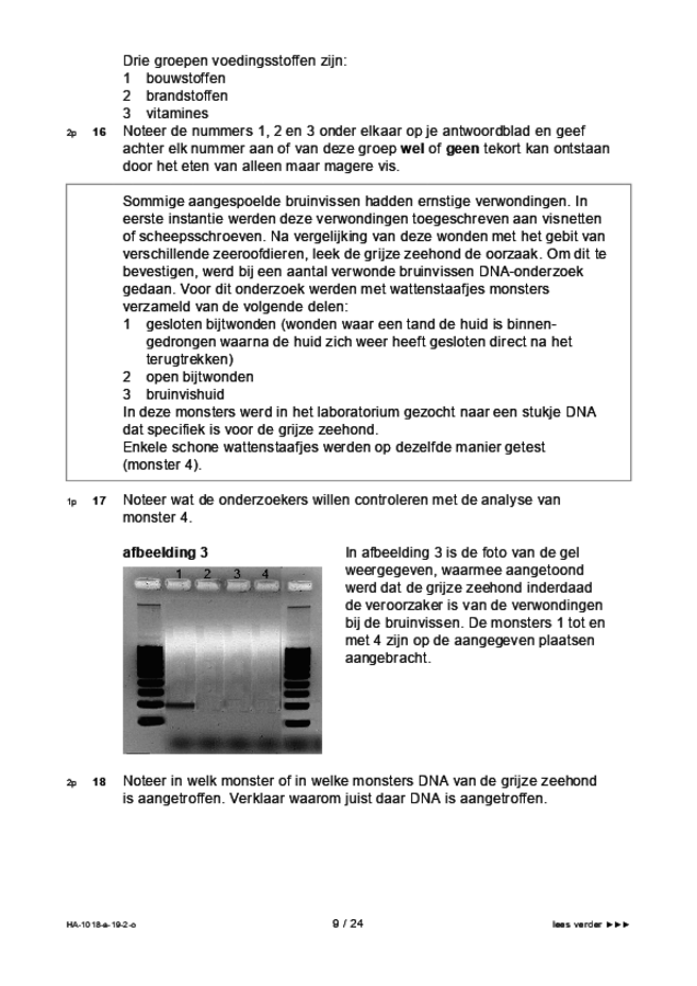 Opgaven examen HAVO biologie 2019, tijdvak 2. Pagina 9