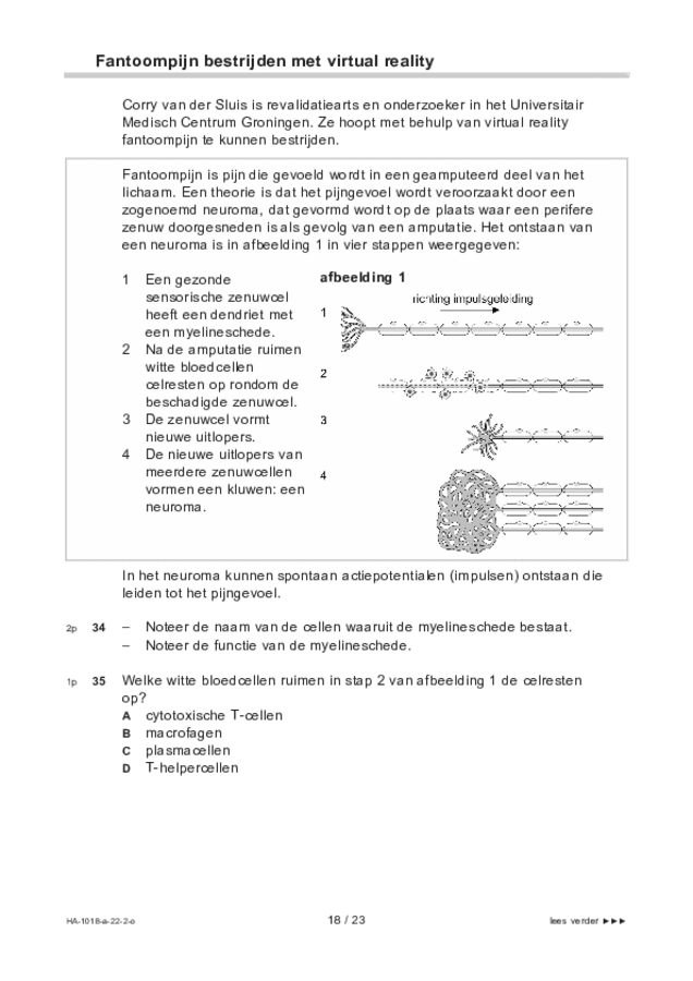 Opgaven examen HAVO biologie 2022, tijdvak 2. Pagina 18