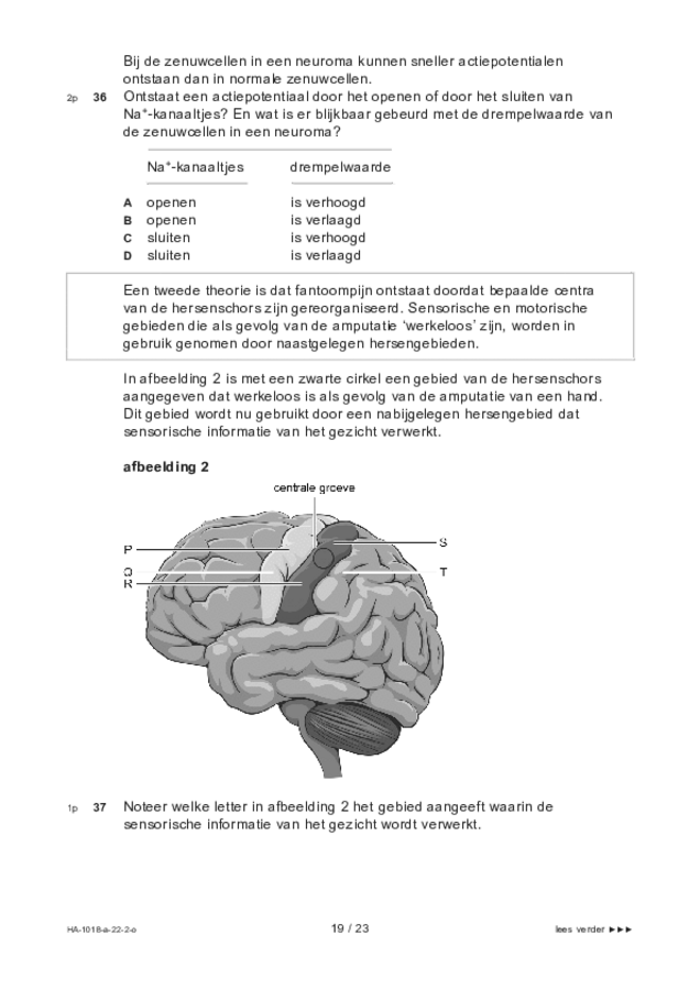 Opgaven examen HAVO biologie 2022, tijdvak 2. Pagina 19