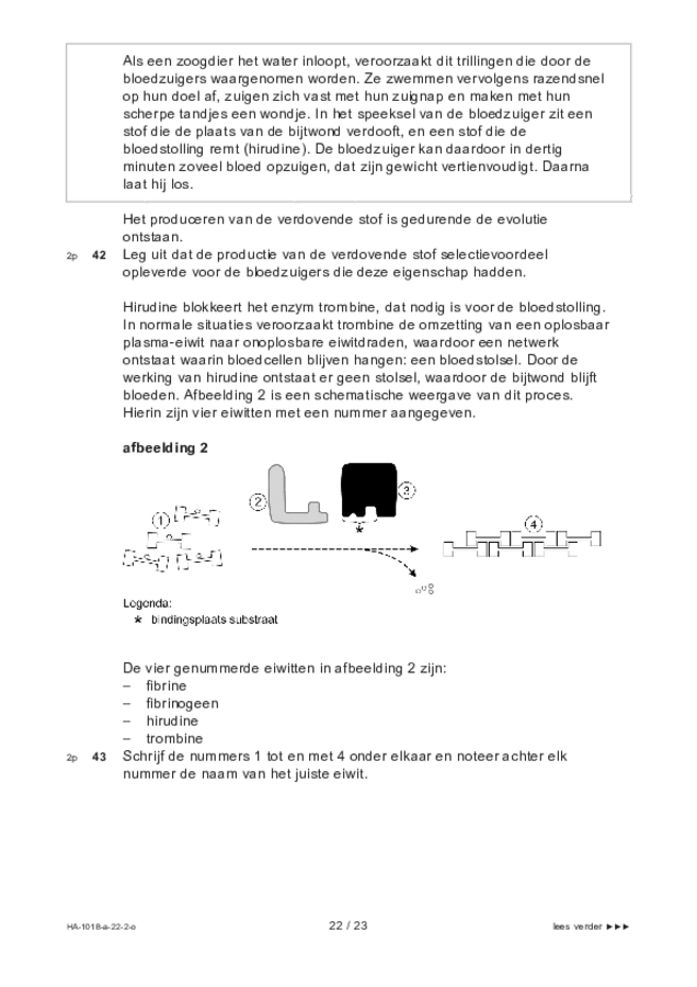 Opgaven examen HAVO biologie 2022, tijdvak 2. Pagina 22