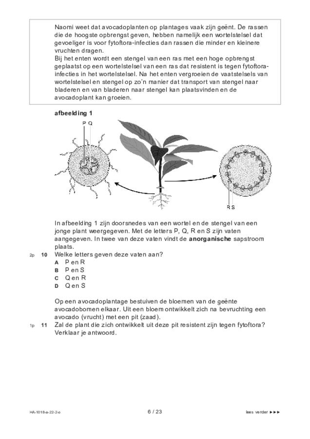 Opgaven examen HAVO biologie 2022, tijdvak 2. Pagina 6