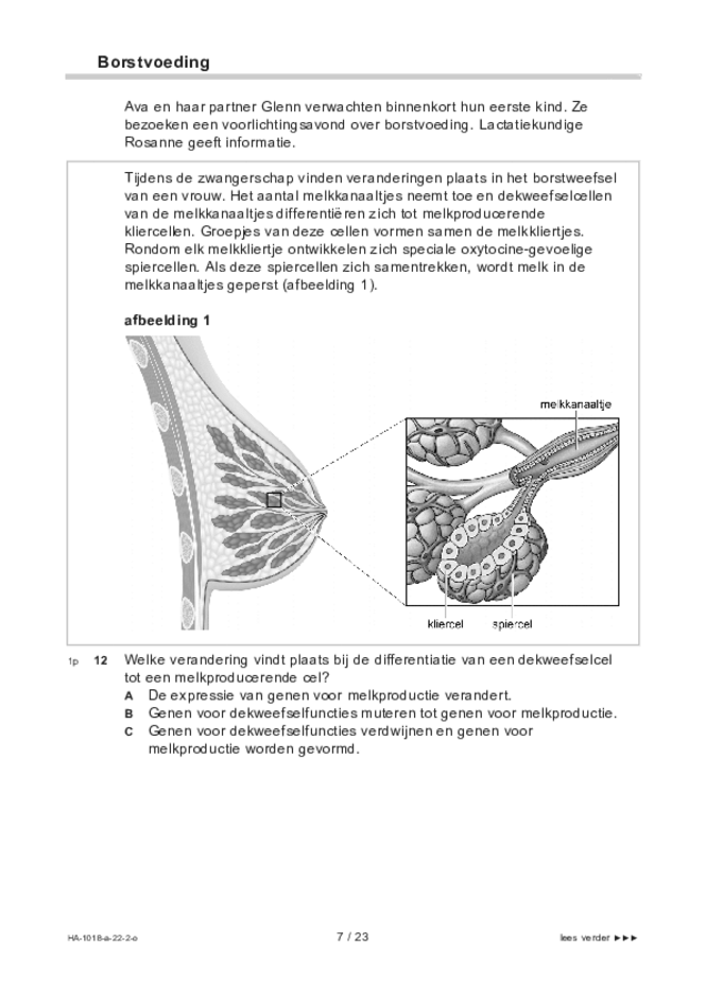 Opgaven examen HAVO biologie 2022, tijdvak 2. Pagina 7