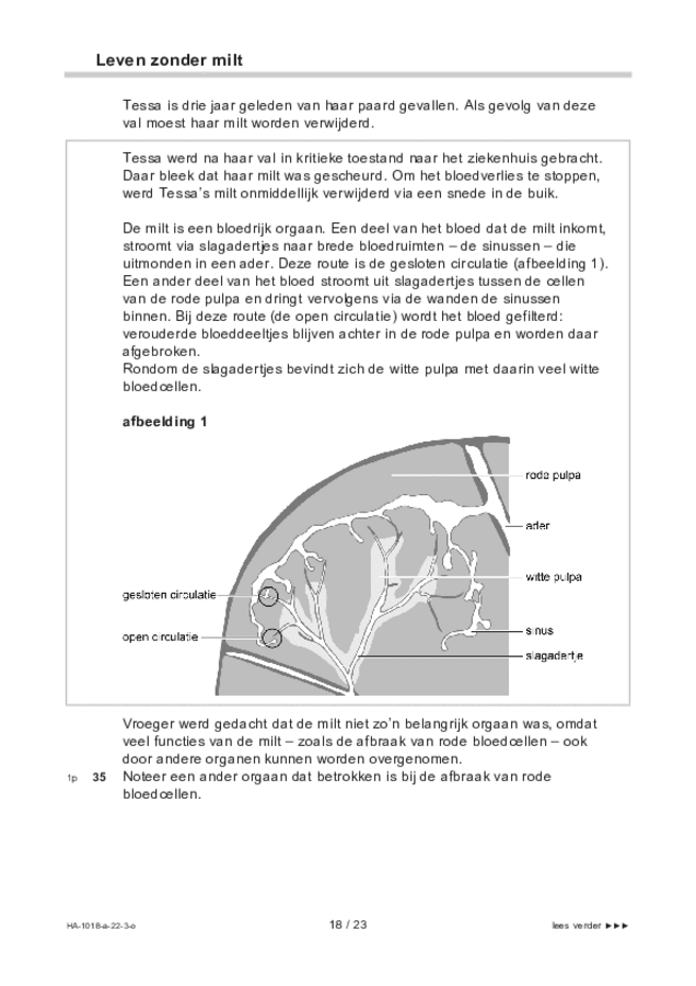 Opgaven examen HAVO biologie 2022, tijdvak 3. Pagina 18