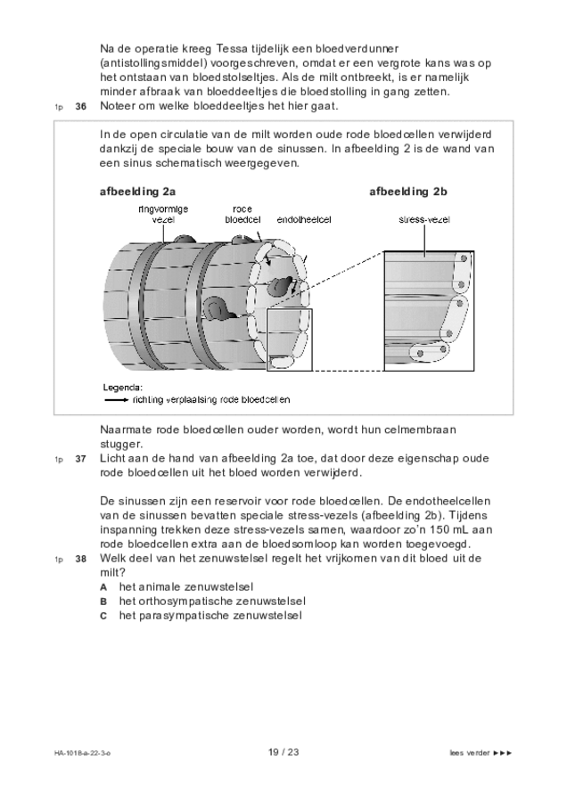 Opgaven examen HAVO biologie 2022, tijdvak 3. Pagina 19