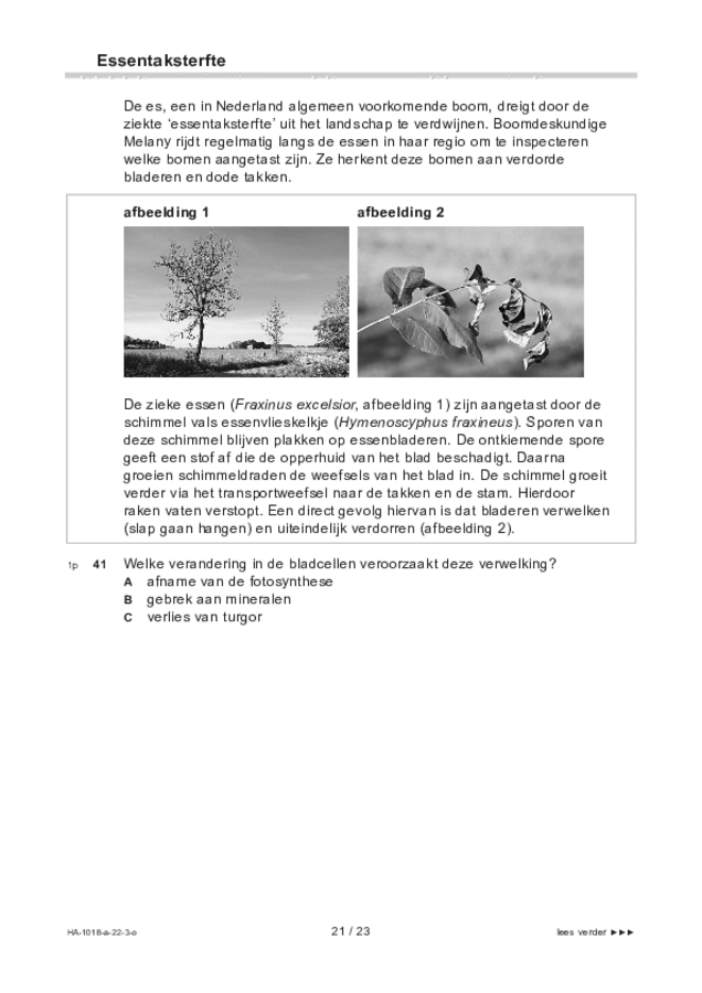 Opgaven examen HAVO biologie 2022, tijdvak 3. Pagina 21