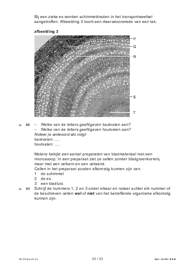 Opgaven examen HAVO biologie 2022, tijdvak 3. Pagina 22