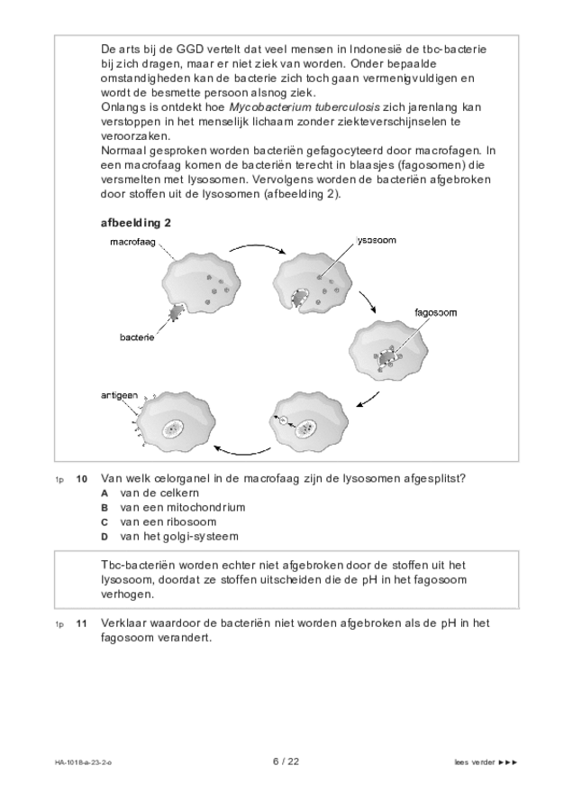 Opgaven examen HAVO biologie 2023, tijdvak 2. Pagina 6