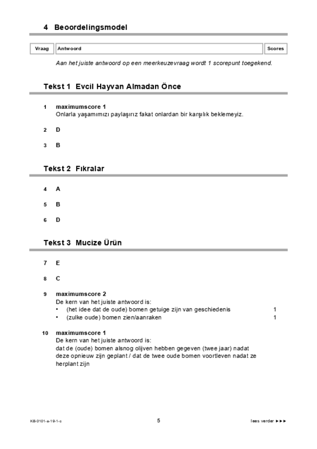 Correctievoorschrift examen VMBO KB Turks 2019, tijdvak 1. Pagina 5
