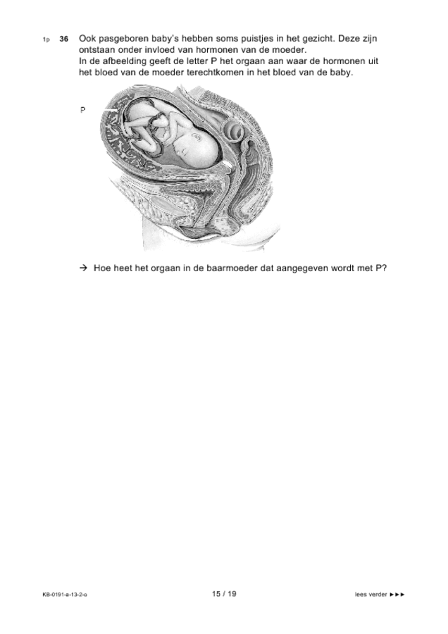 Opgaven examen VMBO KB biologie 2013, tijdvak 2. Pagina 15
