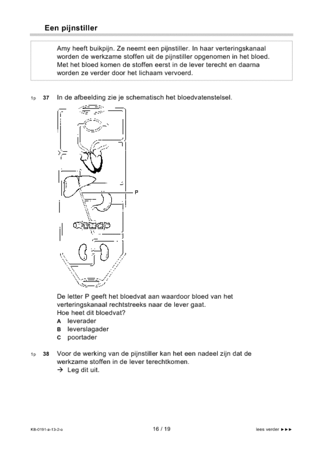 Opgaven examen VMBO KB biologie 2013, tijdvak 2. Pagina 16