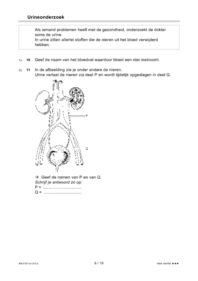 Opgaven examen VMBO KB biologie 2013, tijdvak 2. Pagina 6