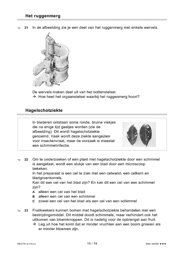 Opgaven examen VMBO KB biologie 2013, tijdvak 2. Pagina 10