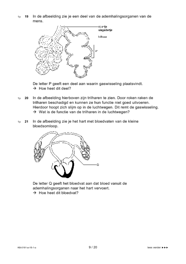 Opgaven examen VMBO KB biologie 2015, tijdvak 1. Pagina 9