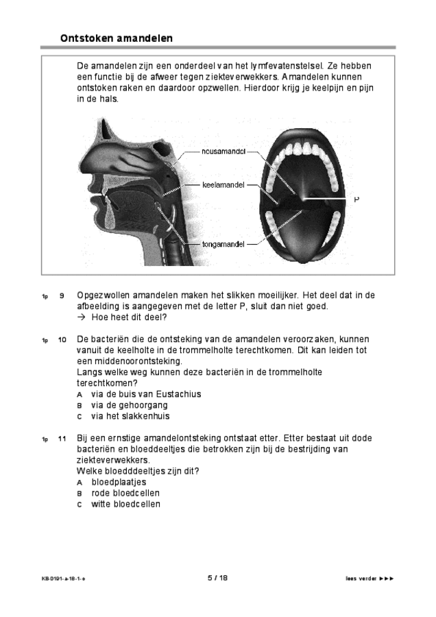Opgaven examen VMBO KB biologie 2018, tijdvak 1. Pagina 5