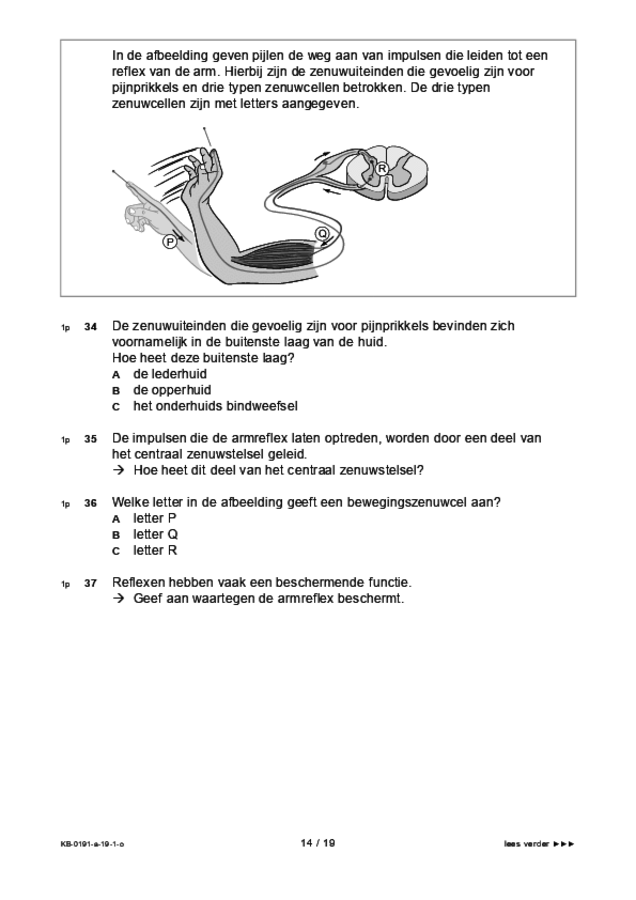 Opgaven examen VMBO KB biologie 2019, tijdvak 1. Pagina 14