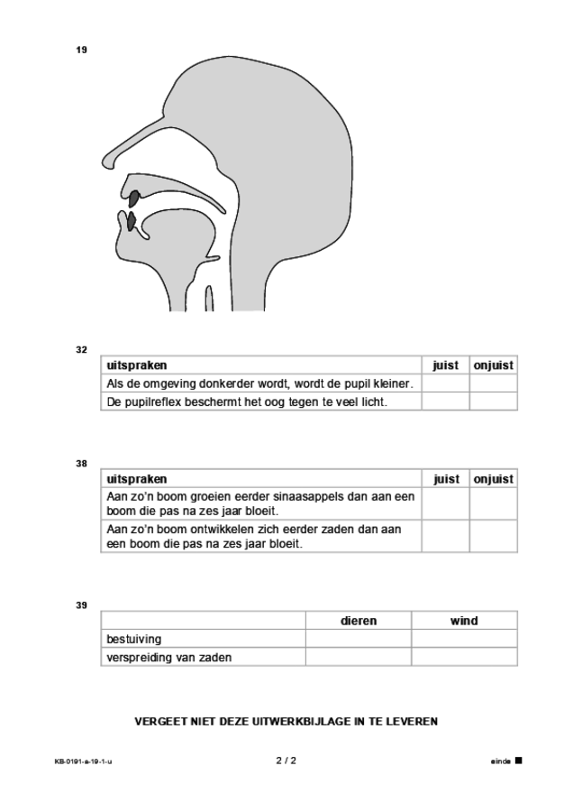 Uitwerkbijlage examen VMBO KB biologie 2019, tijdvak 1. Pagina 2