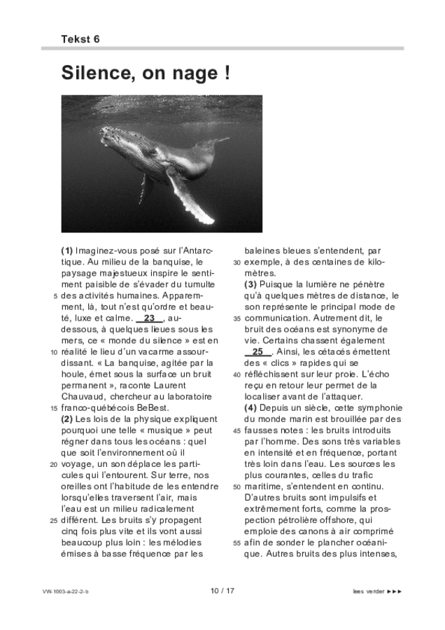 Bijlage examen VWO Frans 2022, tijdvak 2. Pagina 10