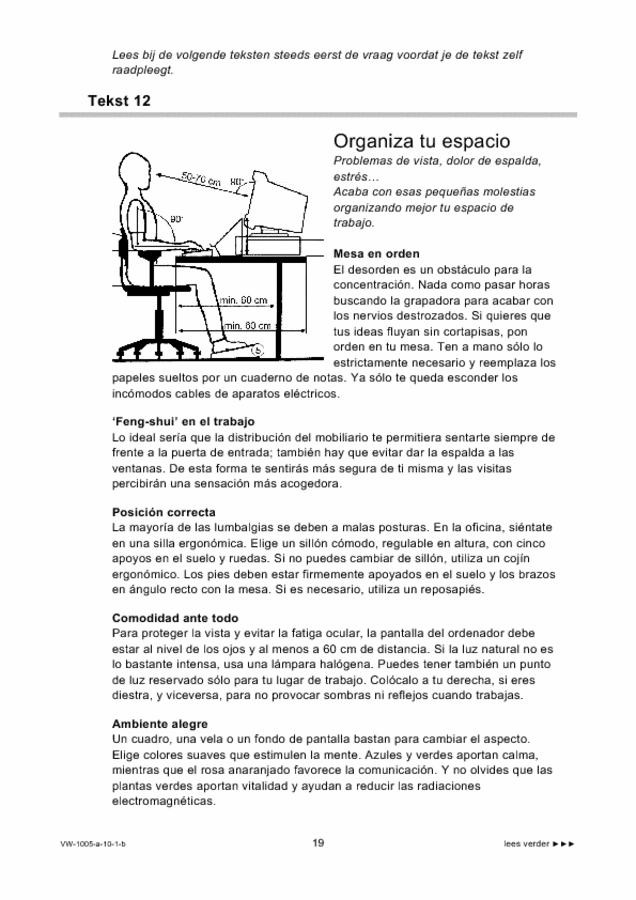 Bijlage examen VWO Spaans 2010, tijdvak 1. Pagina 19