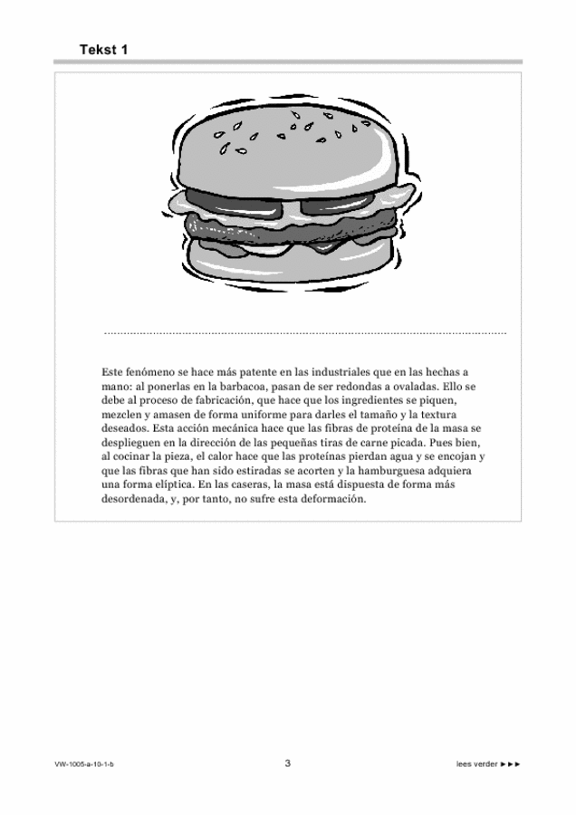 Bijlage examen VWO Spaans 2010, tijdvak 1. Pagina 3
