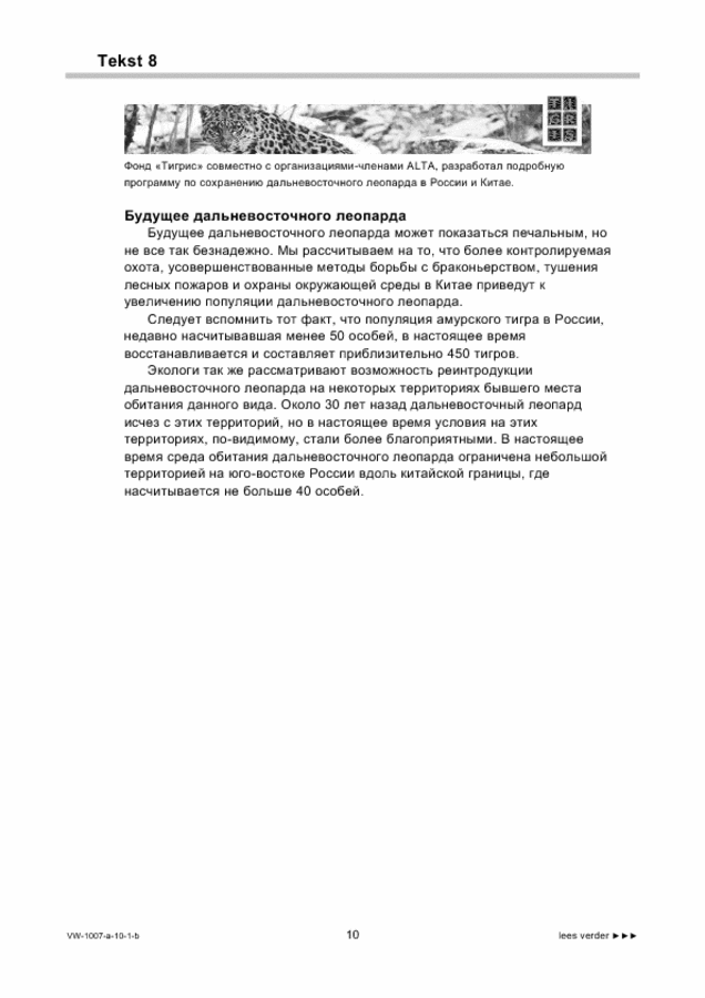 Bijlage examen VWO Russisch 2010, tijdvak 1. Pagina 10