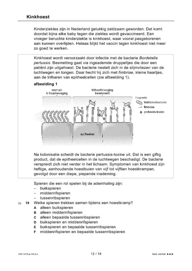 Opgaven examen VWO biologie 2015, tijdvak 2. Pagina 12
