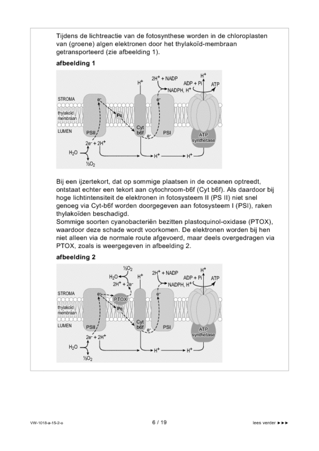 Opgaven examen VWO biologie 2015, tijdvak 2. Pagina 6