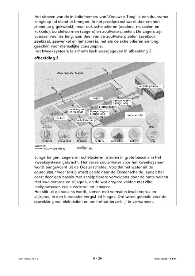 Opgaven examen VWO biologie 2016, tijdvak 1. Pagina 6